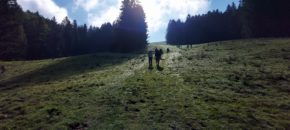 DC4131 Hike 2021